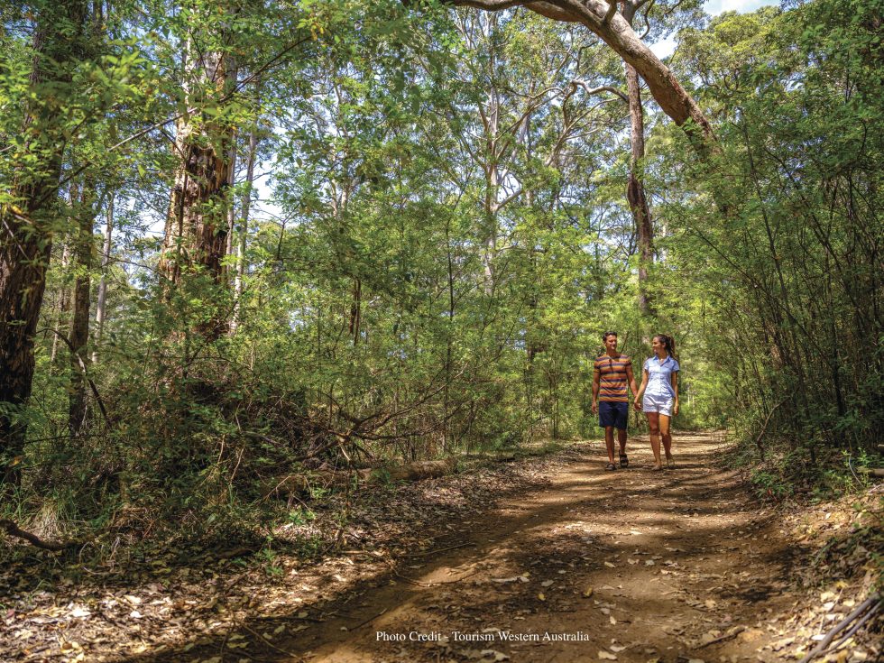 Edge of the Forest Motel in
